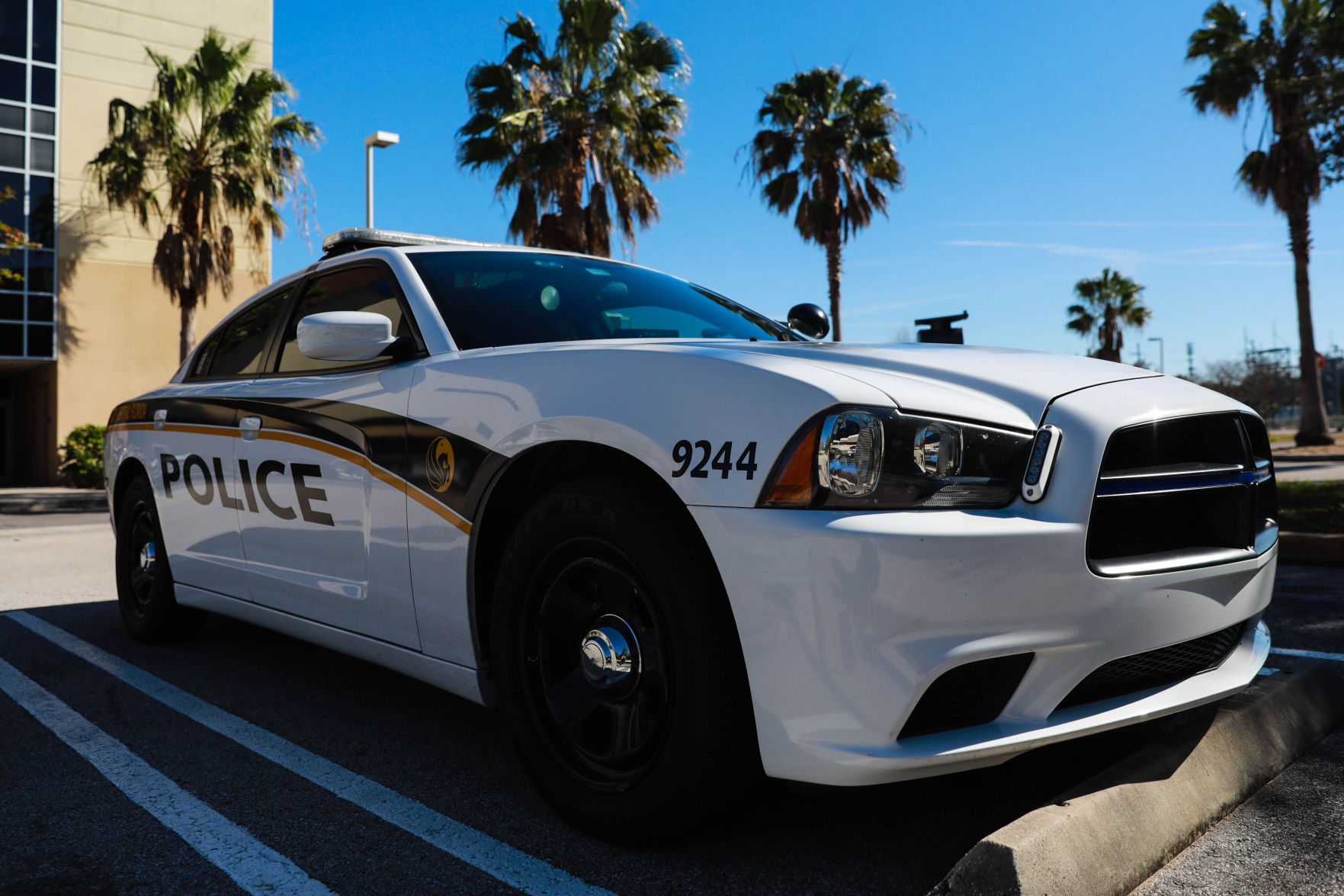 car hits pedestrian